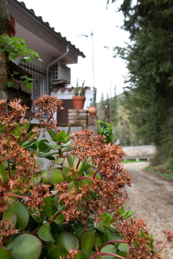 Feel Nature En La Casa De La Desconexion Benamahoma Exterior foto